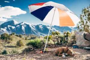 FAQ über den besten Sonnenschirm